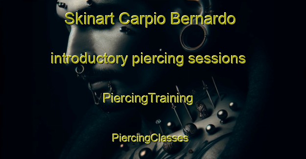 Skinart Carpio Bernardo introductory piercing sessions | PiercingTraining | PiercingClasses | SkinartTraining-Spain