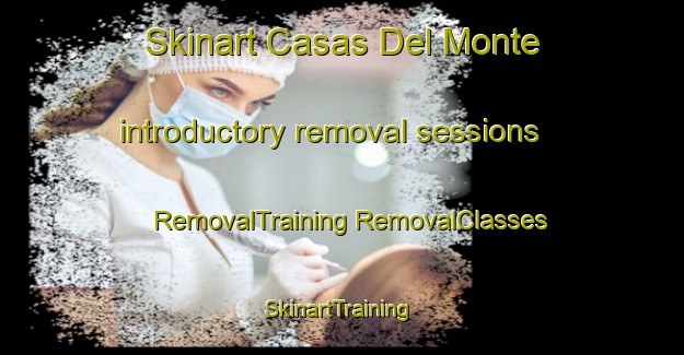 Skinart Casas Del Monte introductory removal sessions | #RemovalTraining #RemovalClasses #SkinartTraining-Spain