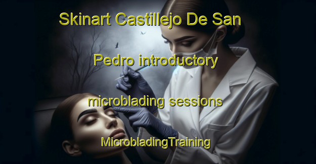 Skinart Castillejo De San Pedro introductory microblading sessions | #MicrobladingTraining #MicrobladingClasses #SkinartTraining-Spain