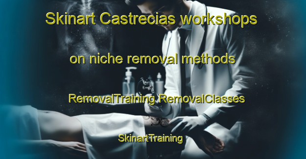 Skinart Castrecias workshops on niche removal methods | #RemovalTraining #RemovalClasses #SkinartTraining-Spain