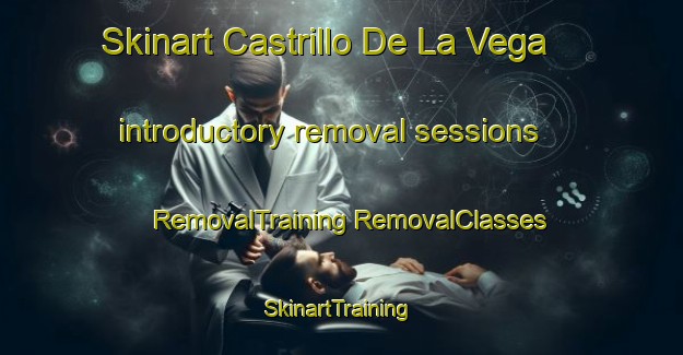 Skinart Castrillo De La Vega introductory removal sessions | #RemovalTraining #RemovalClasses #SkinartTraining-Spain