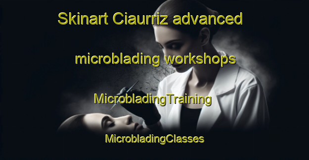 Skinart Ciaurriz advanced microblading workshops | #MicrobladingTraining #MicrobladingClasses #SkinartTraining-Spain