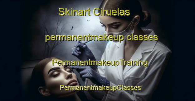 Skinart Ciruelas permanentmakeup classes | PermanentmakeupTraining | PermanentmakeupClasses | SkinartTraining-Spain