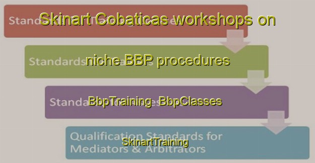 Skinart Cobaticas workshops on niche BBP procedures | BbpTraining | BbpClasses | SkinartTraining-Spain