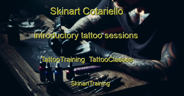 Skinart Cotariello introductory tattoo sessions | TattooTraining | TattooClasses | SkinartTraining-Spain