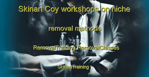 Skinart Coy workshops on niche removal methods | #RemovalTraining #RemovalClasses #SkinartTraining-Spain