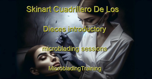 Skinart Cuadrillero De Los Dieces introductory microblading sessions | #MicrobladingTraining #MicrobladingClasses #SkinartTraining-Spain