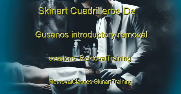 Skinart Cuadrilleros De Gusanos introductory removal sessions | #RemovalTraining #RemovalClasses #SkinartTraining-Spain