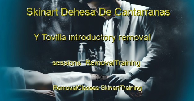 Skinart Dehesa De Cantarranas Y Tovilla introductory removal sessions | #RemovalTraining #RemovalClasses #SkinartTraining-Spain