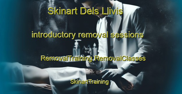 Skinart Dels Llivis introductory removal sessions | #RemovalTraining #RemovalClasses #SkinartTraining-Spain