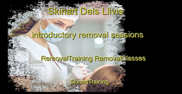 Skinart Dels Llivis introductory removal sessions | #RemovalTraining #RemovalClasses #SkinartTraining-Spain