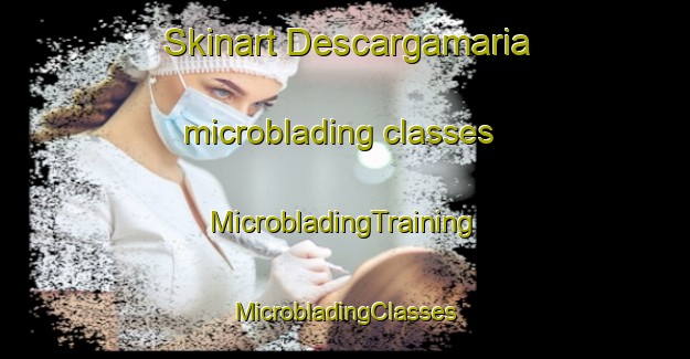 Skinart Descargamaria microblading classes | #MicrobladingTraining #MicrobladingClasses #SkinartTraining-Spain