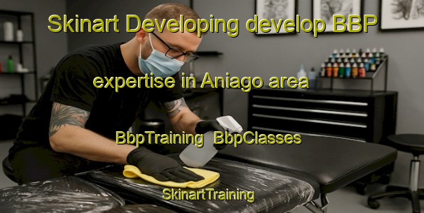 Skinart Developing develop BBP expertise in Aniago area | BbpTraining | BbpClasses | SkinartTraining-Spain