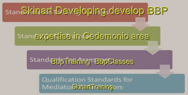 Skinart Developing develop BBP expertise in Cedemonio area | BbpTraining | BbpClasses | SkinartTraining-Spain
