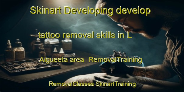 Skinart Developing develop tattoo removal skills in L Aigueeta area | #RemovalTraining #RemovalClasses #SkinartTraining-Spain