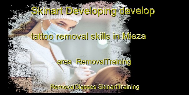 Skinart Developing develop tattoo removal skills in Mieza area | #RemovalTraining #RemovalClasses #SkinartTraining-Spain