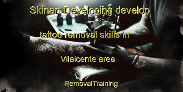 Skinart Developing develop tattoo removal skills in Vilaicente area | RemovalTraining | RemovalClasses | SkinartTraining-Spain