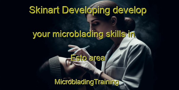 Skinart Developing develop your microblading skills in Esto area | MicrobladingTraining | MicrobladingClasses | SkinartTraining-Spain