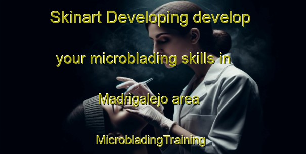 Skinart Developing develop your microblading skills in Madrigalejo area | #MicrobladingTraining #MicrobladingClasses #SkinartTraining-Spain