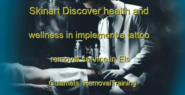 Skinart Discover health and wellness in implement a tattoo removal service in Els Guiamets | RemovalTraining | RemovalClasses | SkinartTraining-Spain