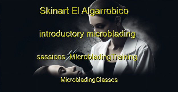 Skinart El Algarrobico introductory microblading sessions | #MicrobladingTraining #MicrobladingClasses #SkinartTraining-Spain