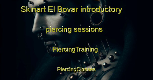 Skinart El Bovar introductory piercing sessions | #PiercingTraining #PiercingClasses #SkinartTraining-Spain