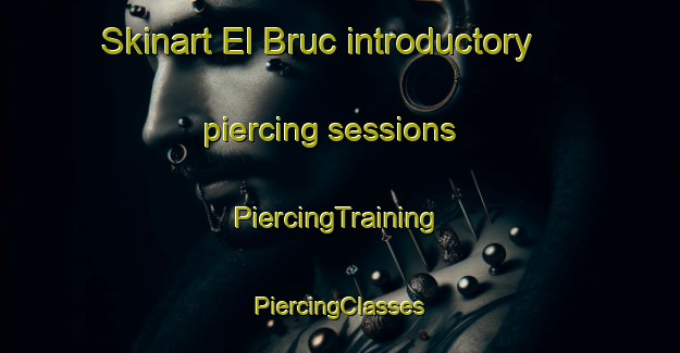 Skinart El Bruc introductory piercing sessions | #PiercingTraining #PiercingClasses #SkinartTraining-Spain