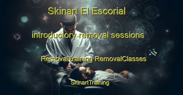 Skinart El Escorial introductory removal sessions | #RemovalTraining #RemovalClasses #SkinartTraining-Spain