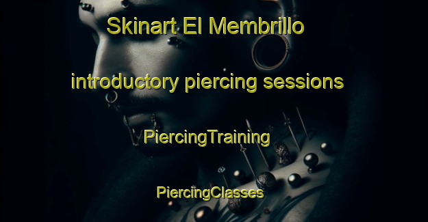 Skinart El Membrillo introductory piercing sessions | PiercingTraining | PiercingClasses | SkinartTraining-Spain
