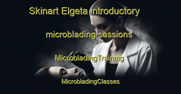 Skinart Elgeta introductory microblading sessions | #MicrobladingTraining #MicrobladingClasses #SkinartTraining-Spain