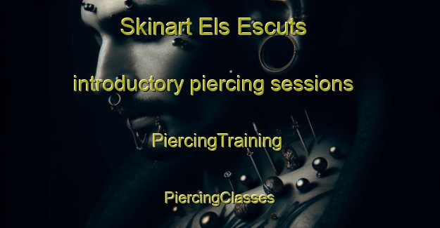 Skinart Els Escuts introductory piercing sessions | #PiercingTraining #PiercingClasses #SkinartTraining-Spain