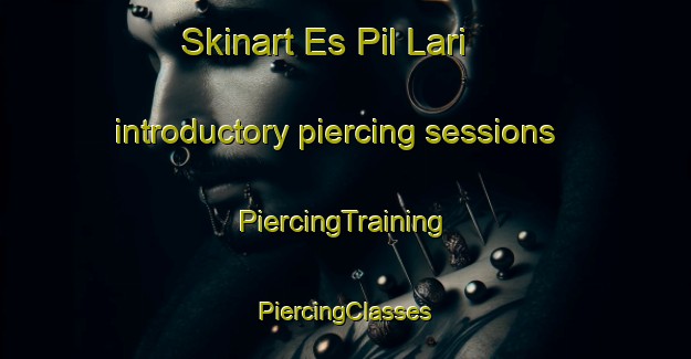 Skinart Es Pil Lari introductory piercing sessions | #PiercingTraining #PiercingClasses #SkinartTraining-Spain