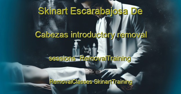 Skinart Escarabajosa De Cabezas introductory removal sessions | #RemovalTraining #RemovalClasses #SkinartTraining-Spain