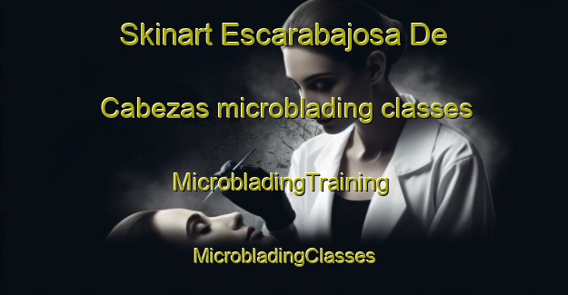 Skinart Escarabajosa De Cabezas microblading classes | #MicrobladingTraining #MicrobladingClasses #SkinartTraining-Spain