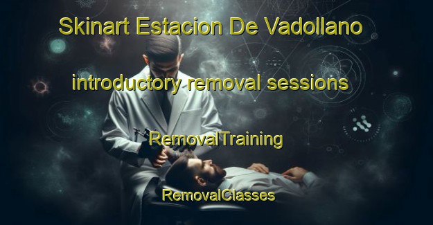 Skinart Estacion De Vadollano introductory removal sessions | RemovalTraining | RemovalClasses | SkinartTraining-Spain