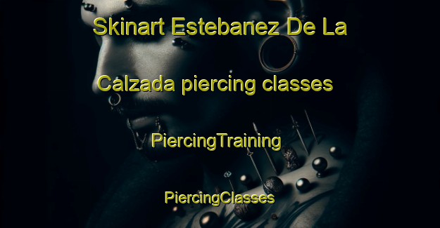 Skinart Estebanez De La Calzada piercing classes | #PiercingTraining #PiercingClasses #SkinartTraining-Spain