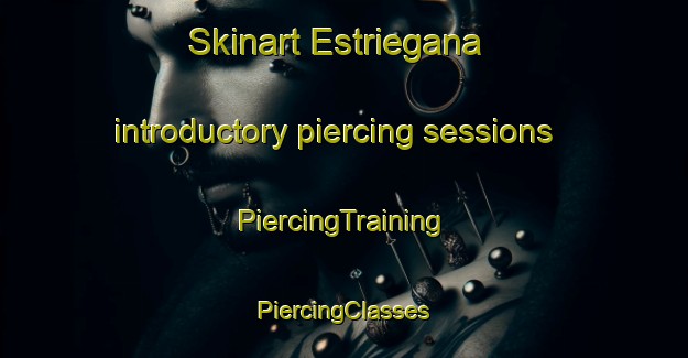 Skinart Estriegana introductory piercing sessions | #PiercingTraining #PiercingClasses #SkinartTraining-Spain