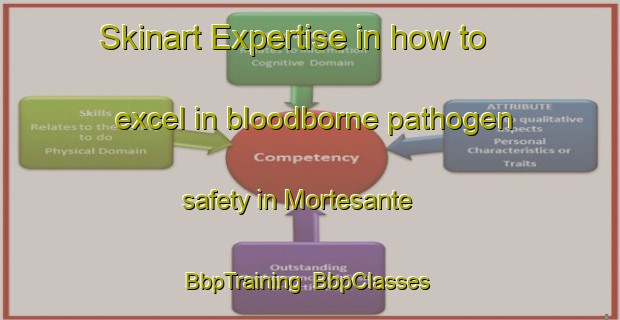 Skinart Expertise in how to excel in bloodborne pathogen safety in Mortesante | BbpTraining | BbpClasses | SkinartTraining-Spain
