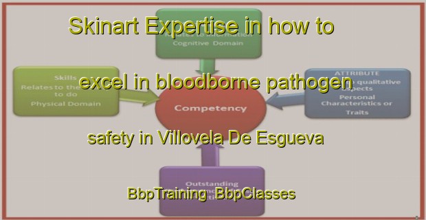 Skinart Expertise in how to excel in bloodborne pathogen safety in Villovela De Esgueva | BbpTraining | BbpClasses | SkinartTraining-Spain