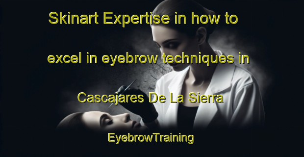 Skinart Expertise in how to excel in eyebrow techniques in Cascajares De La Sierra | EyebrowTraining | EyebrowClasses | SkinartTraining-Spain