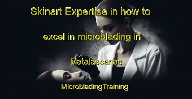 Skinart Expertise in how to excel in microblading in Matalascanas | #MicrobladingTraining #MicrobladingClasses #SkinartTraining-Spain