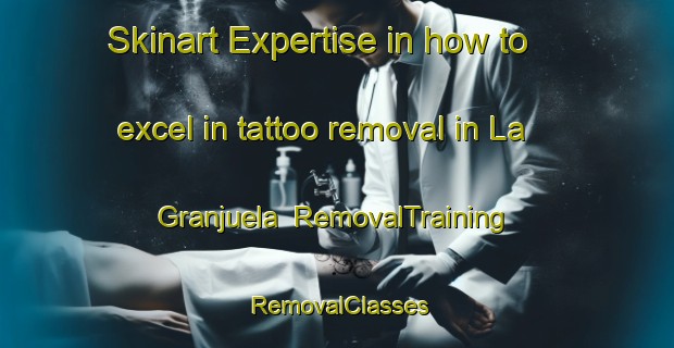 Skinart Expertise in how to excel in tattoo removal in La Granjuela | RemovalTraining | RemovalClasses | SkinartTraining-Spain