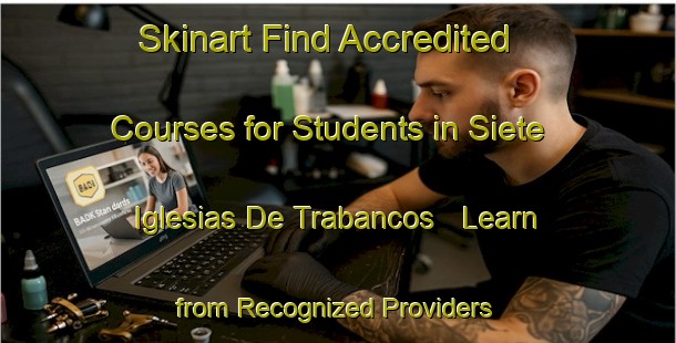 Skinart Find Accredited Courses for Students in Siete Iglesias De Trabancos - Learn from Recognized Providers | Body Art Qualification Authority | BAQA-Spain