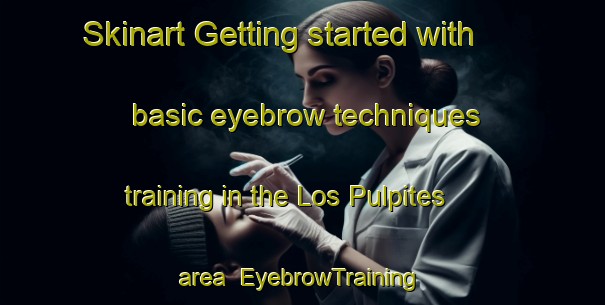 Skinart Getting started with basic eyebrow techniques training in the Los Pulpites area | EyebrowTraining | EyebrowClasses | SkinartTraining-Spain