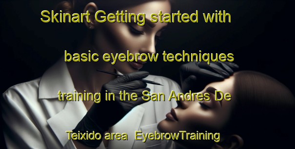 Skinart Getting started with basic eyebrow techniques training in the San Andres De Teixido area | EyebrowTraining | EyebrowClasses | SkinartTraining-Spain