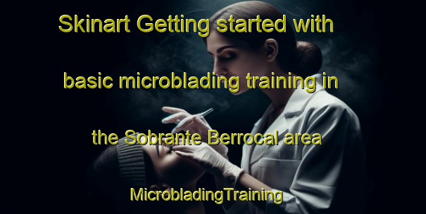 Skinart Getting started with basic microblading training in the Sobrante Berrocal area | MicrobladingTraining | MicrobladingClasses | SkinartTraining-Spain