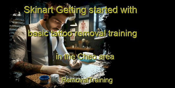 Skinart Getting started with basic tattoo removal training in the Cheo area | RemovalTraining | RemovalClasses | SkinartTraining-Spain