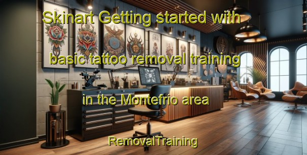 Skinart Getting started with basic tattoo removal training in the Montefrio area | RemovalTraining | RemovalClasses | SkinartTraining-Spain