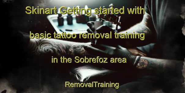 Skinart Getting started with basic tattoo removal training in the Sobrefoz area | RemovalTraining | RemovalClasses | SkinartTraining-Spain