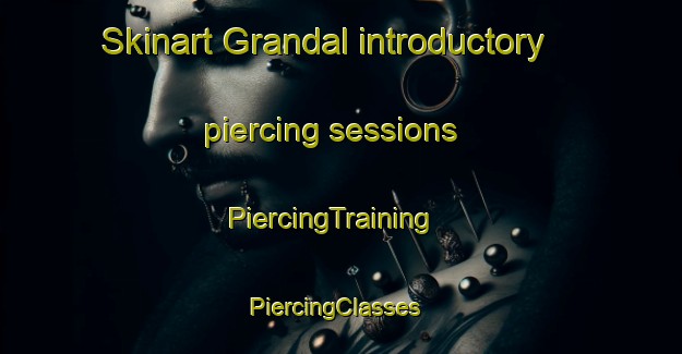Skinart Grandal introductory piercing sessions | PiercingTraining | PiercingClasses | SkinartTraining-Spain